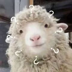 202312071425235759.Jpeg